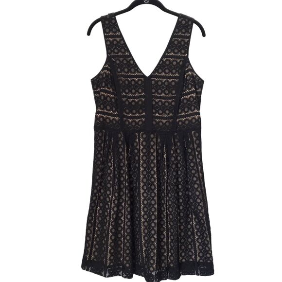 Ann Taylor Loft Womens Dress Size 6 Black Beige Floral Lace Overlay Fit & Flare - Picture 1 of 8